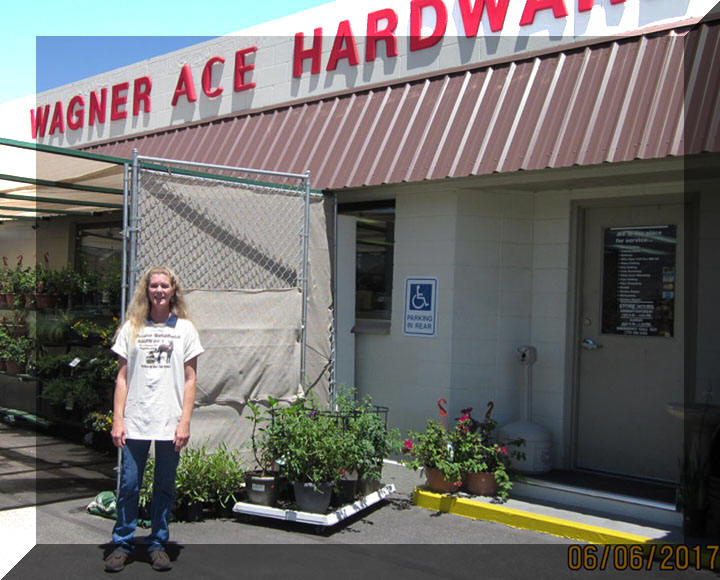 Wagner Ace Hardware Hawthorne Nevada